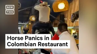 Horse Spooked Inside Crowded Restaurant