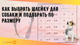 Как выбрать шлейку для собаки и подобрать по размеру