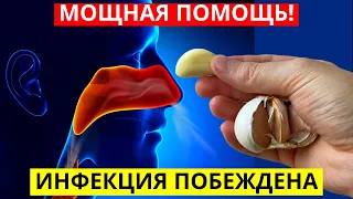 Рассосались Тромбы. Мощная Помощь Печени, Сосудам И Всему Организму!