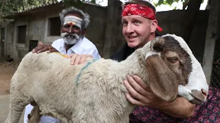 MUTTON !!! Daddy prepared a MUTTON SUKKA Recipe with IRFAN &SONNY SIDE / Village Food Factory