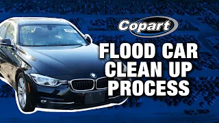 How Copart Cleans Flood Cars For Auction in 5 Steps | Copart Auto Auctions