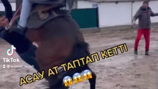 АСАУ АТ ТАПТАП КЕТТІ😱😱😱