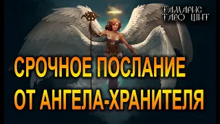 СРОЧНОЕ ПОСЛАНИЕ ОТ АНГЕЛА-ХРАНИТЕЛЯ?🔥!🔥 ГАДАНИЕ РАСКЛАД ТАРО