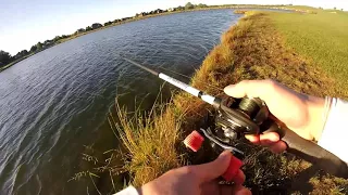 Big Swimbaits Catch Big Fish! (Savage Gear 3D Trout)