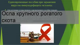 Оспа крупного рогатого скота