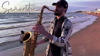 Señorita - Shawn Mendes & Camila Cabello [Saxophone Cover]