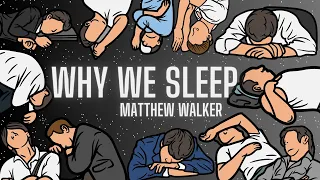 Why We Sleep | Matthew Walker | Animated Visual Summary #whywesleep #Bestseller #sleep #sleepaid