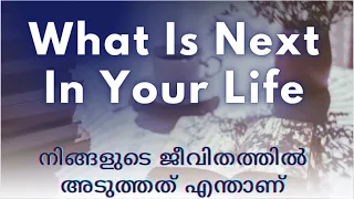 What Is Next In Your Life #tarot #malayalamtarot