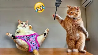 Try Not To Laugh 😹 Funniest Cats and Dogs 2024😍🐶