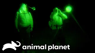 A Unique Way to Get A Sasquatch's Attention | Finding Bigfoot | Animal Planet