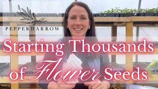 Starting THOUSANDS of FLOWER Seeds | PepperHarrow