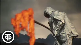 Вулканы Камчатки. Научно-популярный фильм (1982)