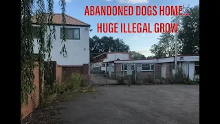 ABANDONED DOGS HOME WITH CANNABIS FACTORY l everything left inside l