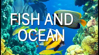 Fish and ocean/ Music for relaxation / Рыба и океан/ Музыка для релаксации