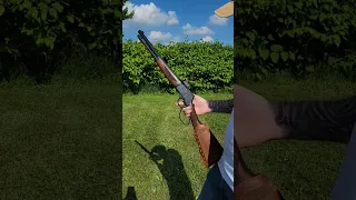 Henry 44 Magnum