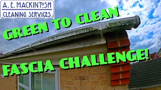 Dirty Green Fascia Clean Challenge!