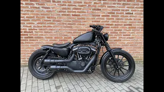 Harley Davidson Iron 883 2011