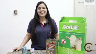 Infestação de carrapatos? Saiba como resolver esse problema!