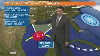 Weather Expert Forecast Thursday Noon Update - hot with fewer storms today