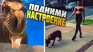 #ПРИКОЛЫ за ОКТЯБРЬ 2018 | BEST COUB 2018 ▶ 92