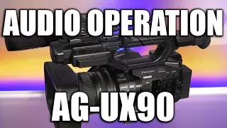 Panasonic AG-UX90: Audio Operation