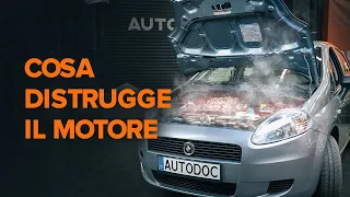 3 cose che causano danni al motore | I consigli di AUTODOC