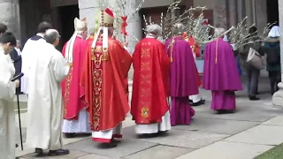 Processione delle Palme 2018 - S. Ambrogio Milano