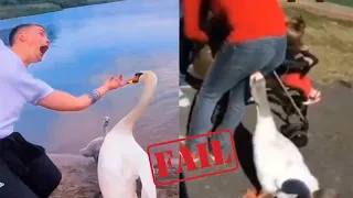 Fails Of The Week / Funny Moments / Like A Boss Compilation #120