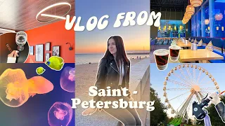 VLOG: Санкт-Петербург • Океанариум, Диво-остров и крутые апартаменты