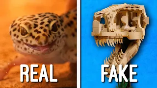 lego t-rex comparison