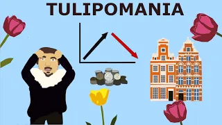 Tulipomania. Pierwsza w historii świata bańka spekulacyjna. Film ilustrowany.