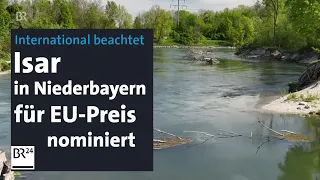 Natur erholt sich: Wilde niederbayerische Isar für EU-Auszeichnung nominiert | Abendschau | BR24