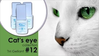 Трехфазный гель лак Кошачий глаз Cat's eye collection GELLIANT 5мл #012 Оникс