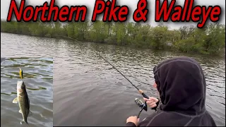 Trolling Shallow Water For Northern Pike and Walleye ( Part 3 )