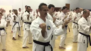 GOJU RYU KARATE DO SEIWAKAI - London seminar October 2015