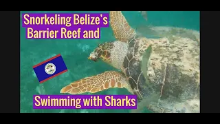 Moho Caye | Swimming with Sharks | Belize Barrier Reef