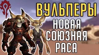 ВУЛЬПЕРЫ - обзор новой союзной расы для Орды в Battle for Azeroth пат 8.3 "Видение Н'зота"