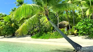 Private Island Boat Tour 🏝 Tropical Paradise | Motu Tane Bora Bora, French Polynesia 🇵🇫 | 4K Travel