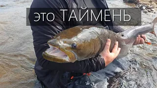 Рыбалка в Якутии - на тайменя с новой сборной (3 часть)