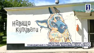 Хвостаті шукають родину: Центр поводження з тваринами відновив свою роботу