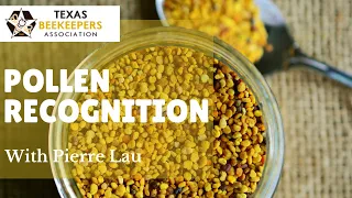 Pollen Recognition - Nutrition in Honey Bees by Pierre Lau of the TAMU Honey Bee Lab