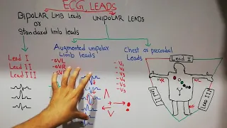 CVS physiology 23. ECG leads, bipolar and unipolar leads