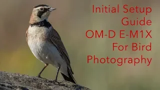 Olympus OM-D M1X Setup Guide For Bird Photography