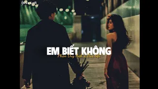 EM BIẾT KHÔNG (Lofi Ver) - Phan Duy Anh x VUX|Người Ta Sống Với Em Thế Nào Sao Hương Sắc Em Phai Màu