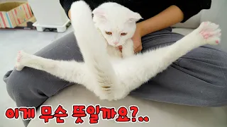 The Most Weird Pose In The World (ENG SUB)