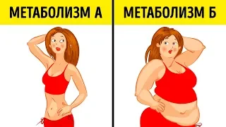 Что Такое Метаболическая Диета и Почему Она Подходит Всем