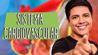 SISTEMA CIRCULATÓRIO OU CARDIOVASCULAR - Parte 01 - Prof. Kennedy Ramos