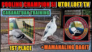 CHAMPION ANG KALAPATI NI UTOL! CABANATUAN TRAINING ARRIVAL AT MERON TAYONG MAGANDANG BIHAG.