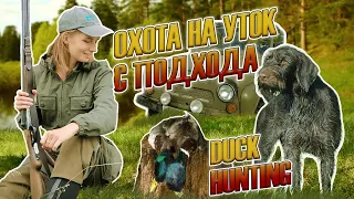 Охота на уток с подхода, девушка охотник / duck hunting, girl hunter