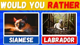 Would You Rather - 😱 ANIMALS Edition 🐱🐶